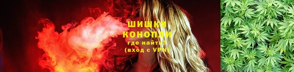 PSILOCYBIN Балахна