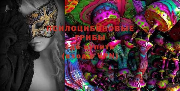 гидра Беломорск