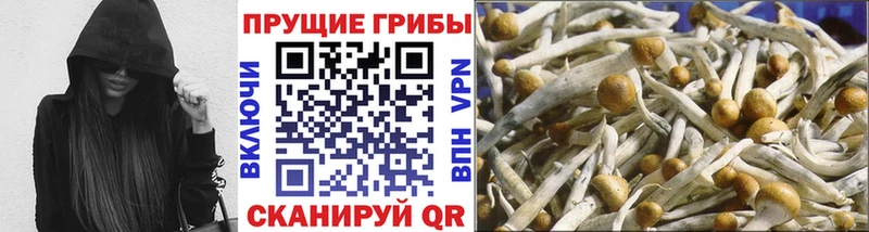 Псилоцибиновые грибы ЛСД Могоча